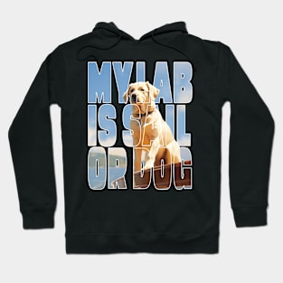 Sailing labrador retriever design Hoodie